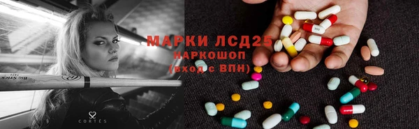прущие грибы Киренск