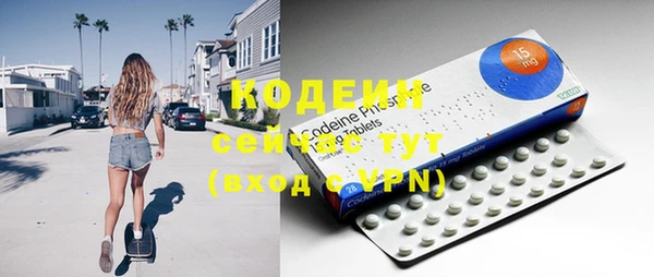 прущие грибы Киренск