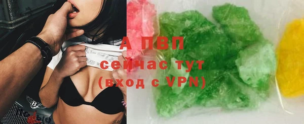 прущие грибы Киренск