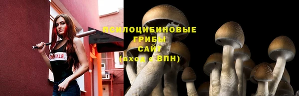 кокс Кинешма