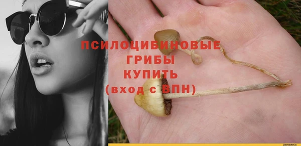 прущие грибы Киренск
