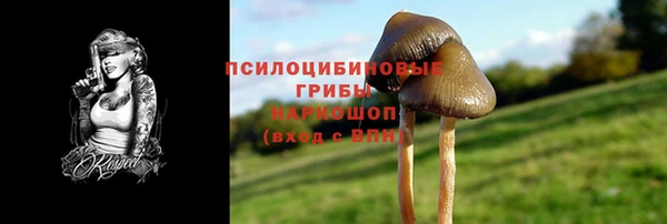 прущие грибы Киренск