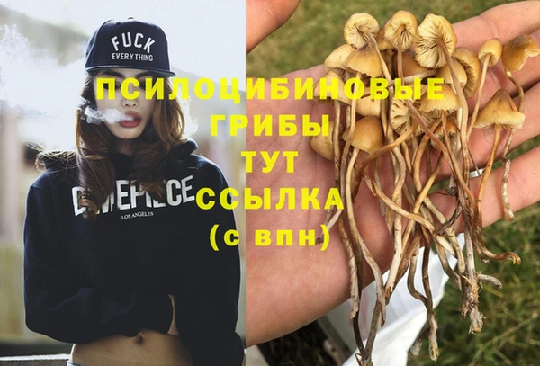 прущие грибы Киренск