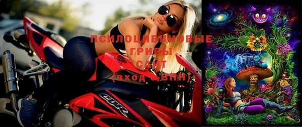 прущие грибы Киренск