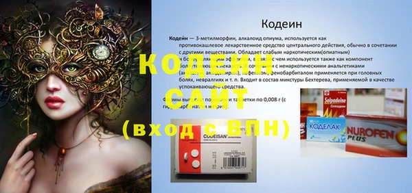 прущие грибы Киренск