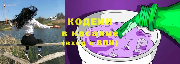 прущие грибы Киренск
