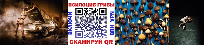 Псилоцибиновые грибы Cubensis  Купить закладки  Чекалин 